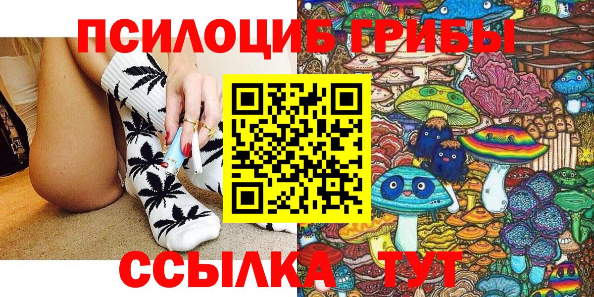 Галлюциногенные грибы Psilocybine cubensis Сокол
